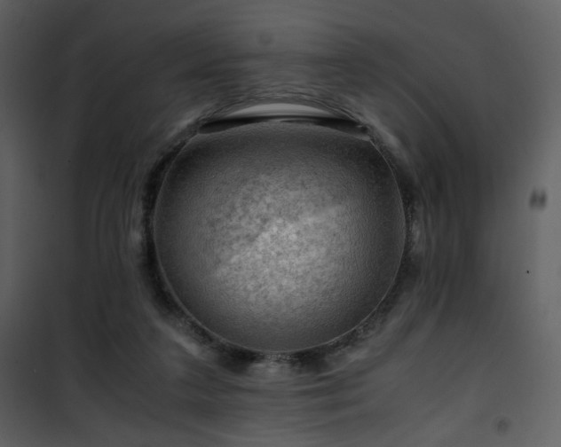 X0000101960211200807181048