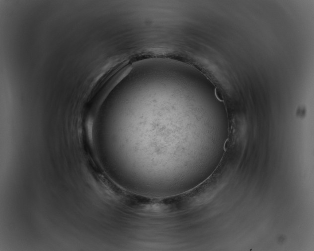 X0000101960212200807181048