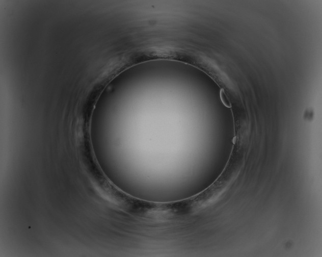 X0000101960213200807181048