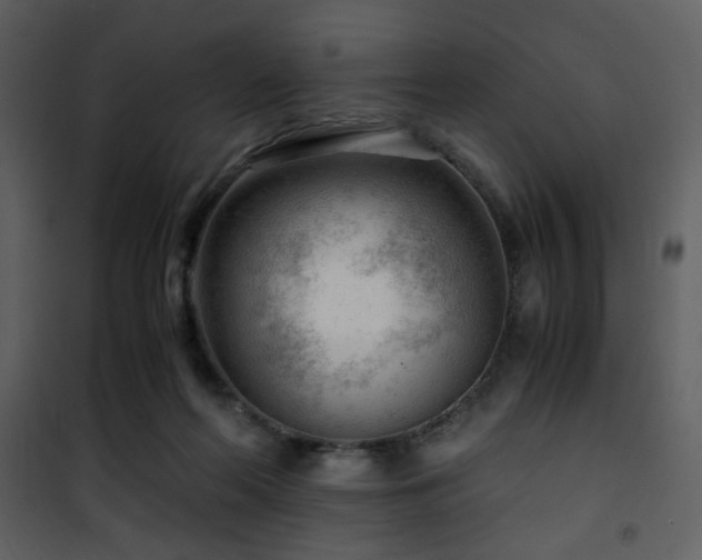 X0000101960214200807181048