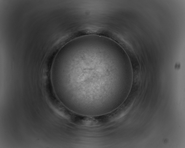 X0000101960215200807181048