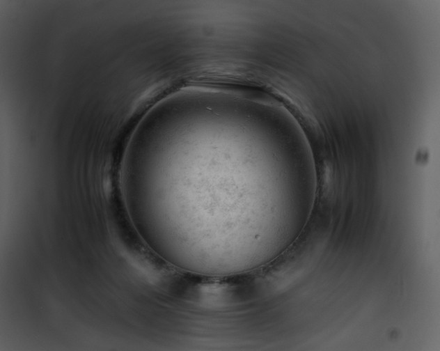 X0000101960216200807181048