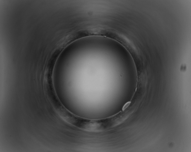 X0000101960217200807181048