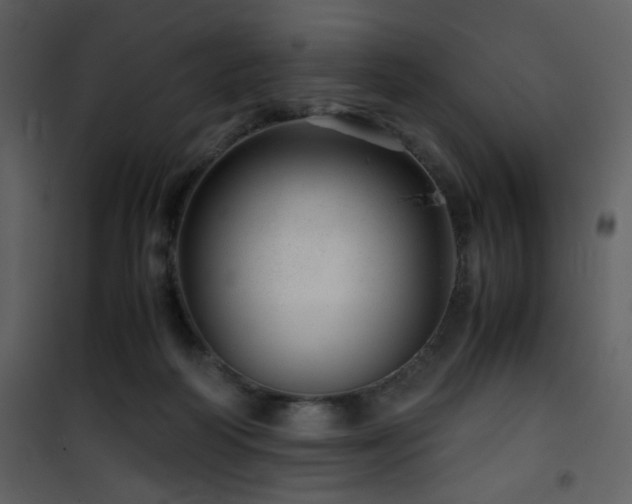 X0000101960218200807181048