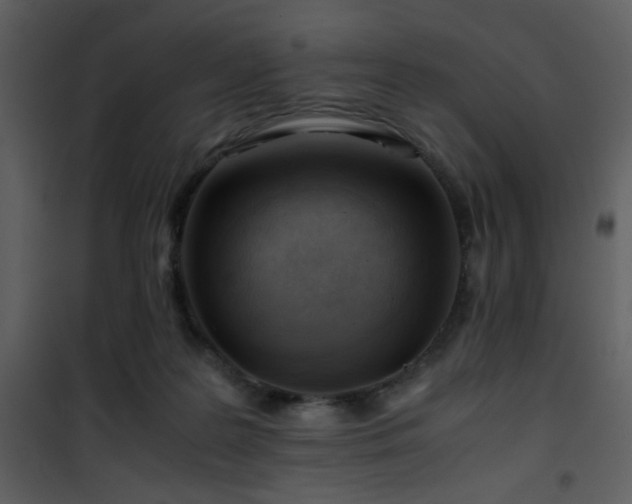 X0000101960219200807181048