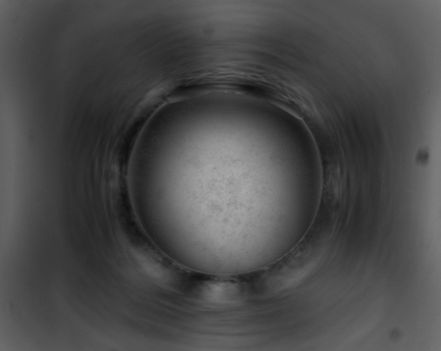 X0000101960220200807181048