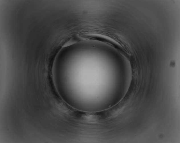 X0000101960221200807181048