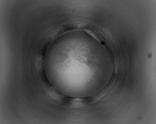 X0000101960222200807181048