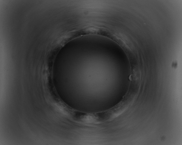 X0000101960223200807181048