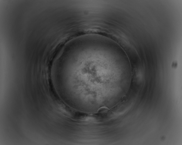 X0000101960224200807181048