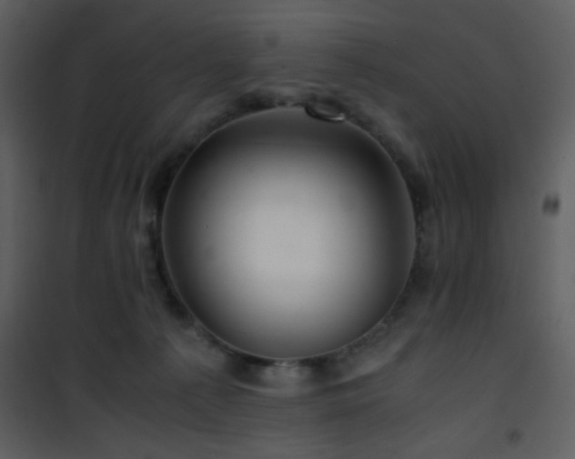 X0000101960225200807181048