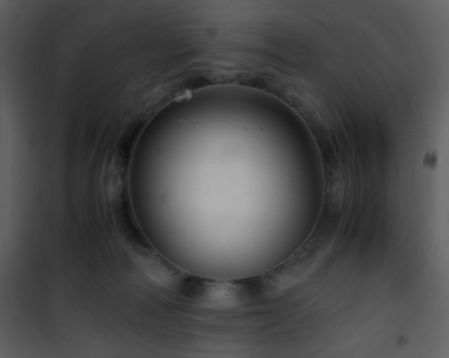 X0000101960226200807181048