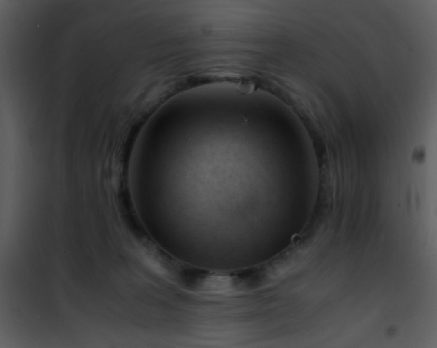 X0000101960227200807181048