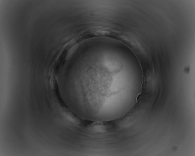 X0000101960228200807181048