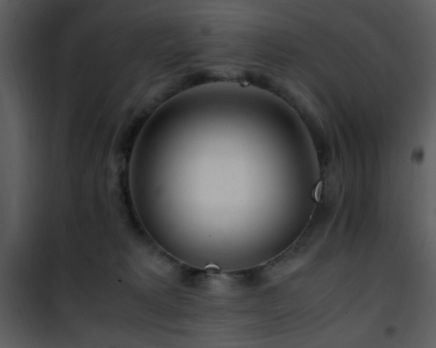 X0000101960229200807181048