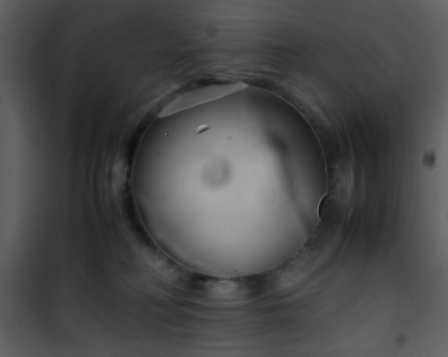 X0000101960230200807181048