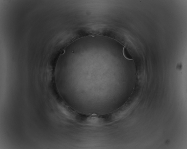 X0000101960231200807181048