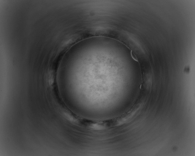 X0000101960232200807181048