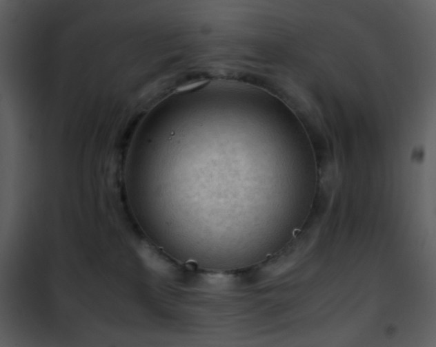 X0000101960233200807181048