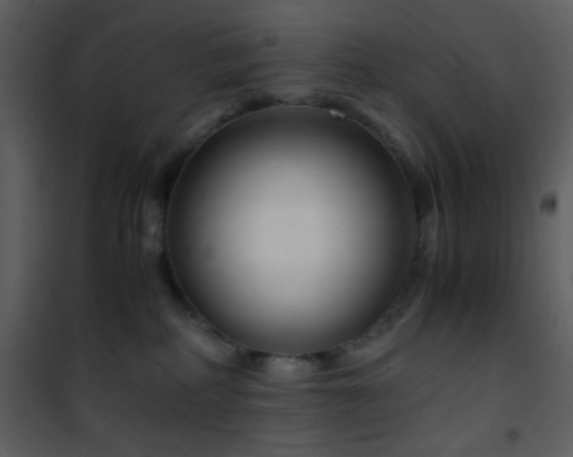 X0000101960234200807181048