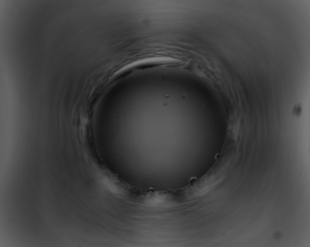 X0000101960235200807181048