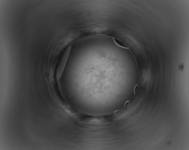 X0000101960236200807181048