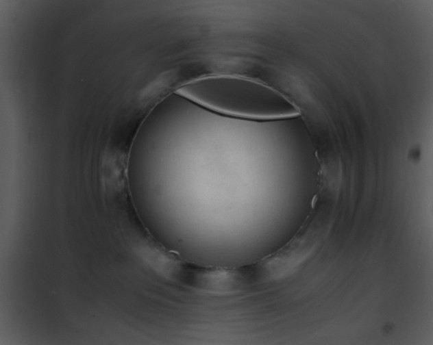 X0000101960237200807181048