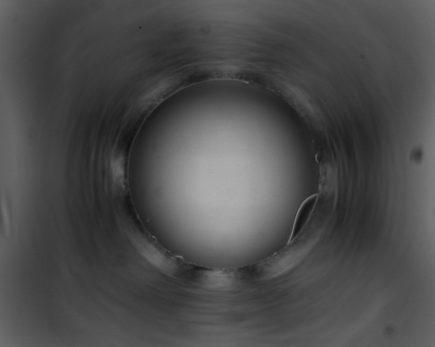 X0000101960238200807181048