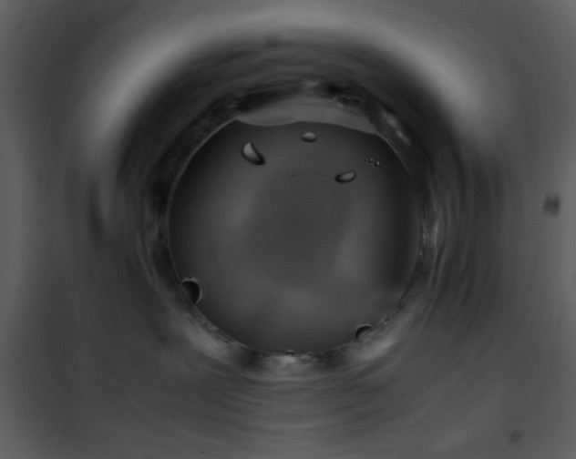 X0000101960239200807181048