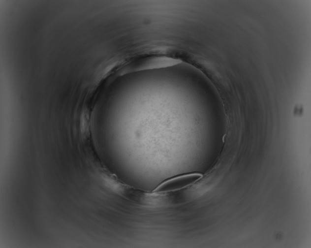 X0000101960240200807181048