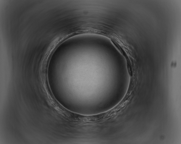 X0000101960241200807181047