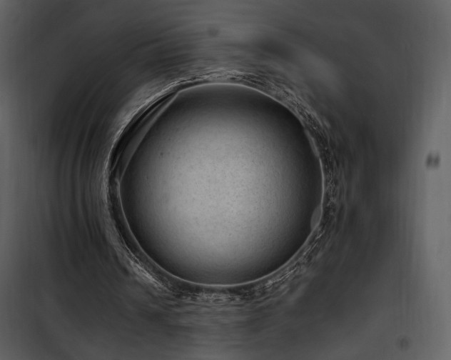 X0000101960242200807181047