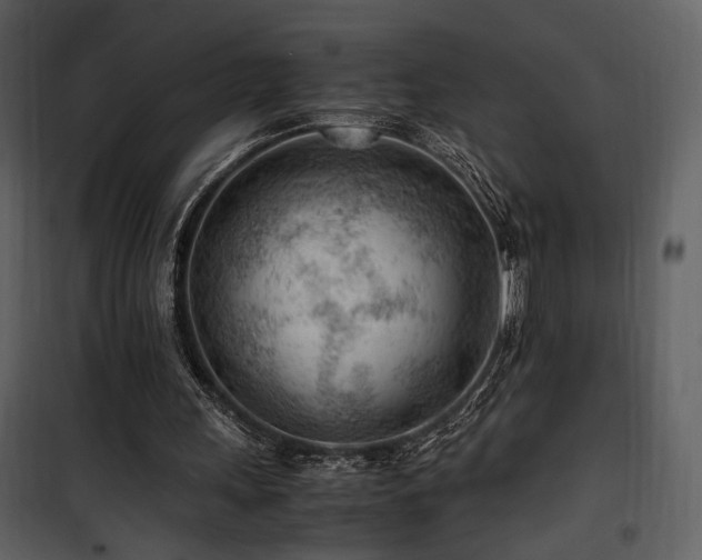 X0000101960243200807181047