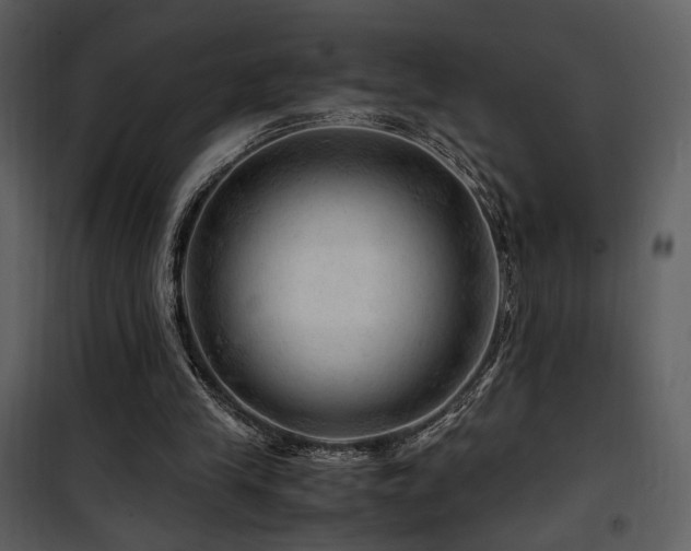 X0000101960245200807181047
