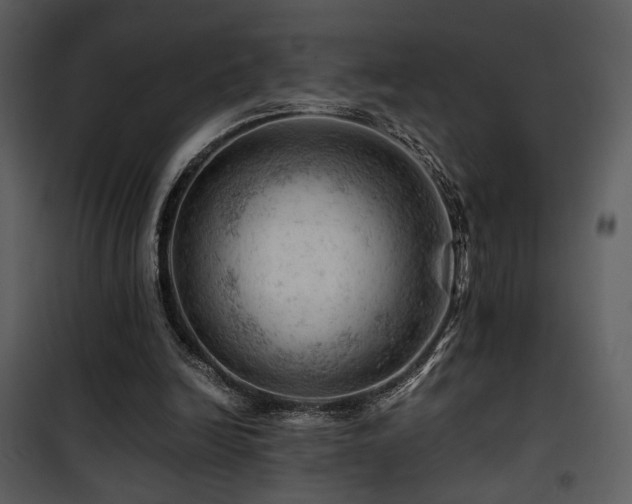 X0000101960246200807181047