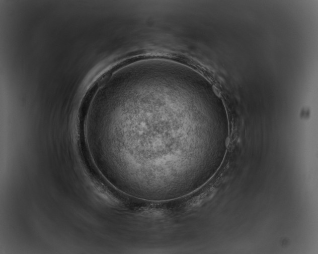 X0000101960247200807181047