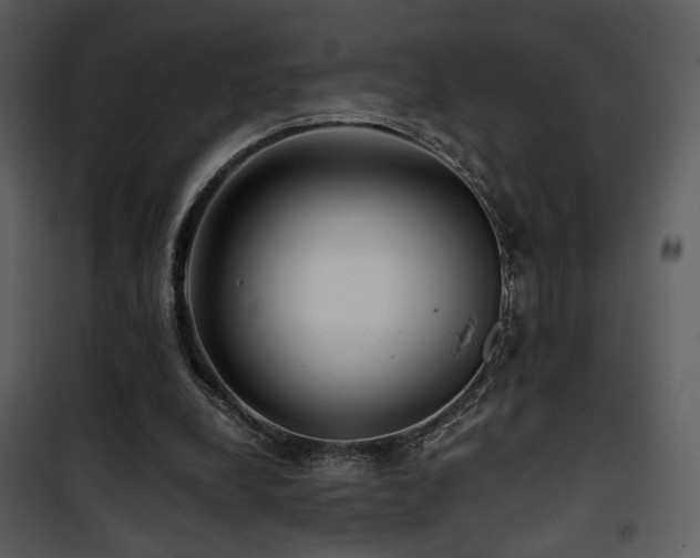X0000101960248200807181047
