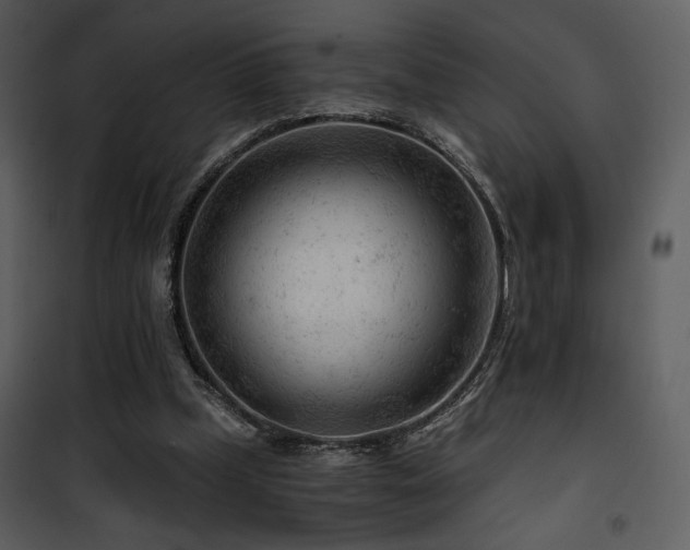 X0000101960249200807181047