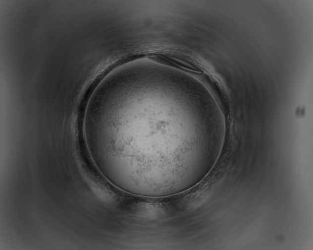 X0000101960250200807181047