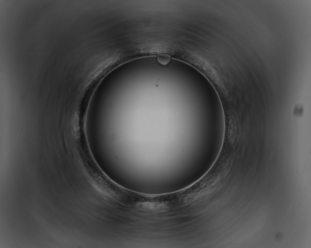 X0000101960251200807181047