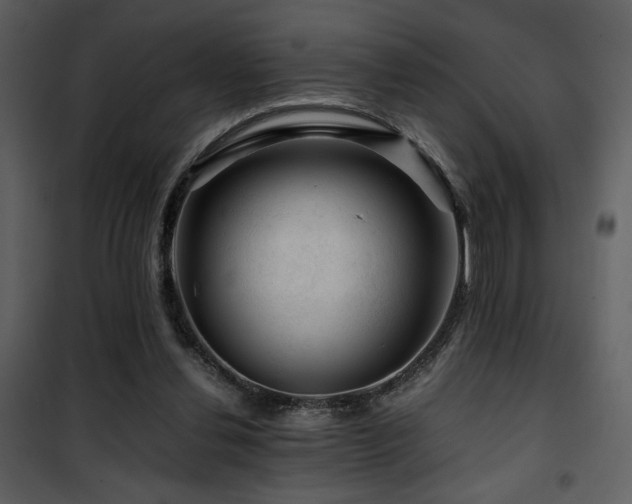 X0000101960252200807181047