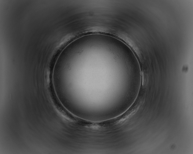 X0000101960253200807181047