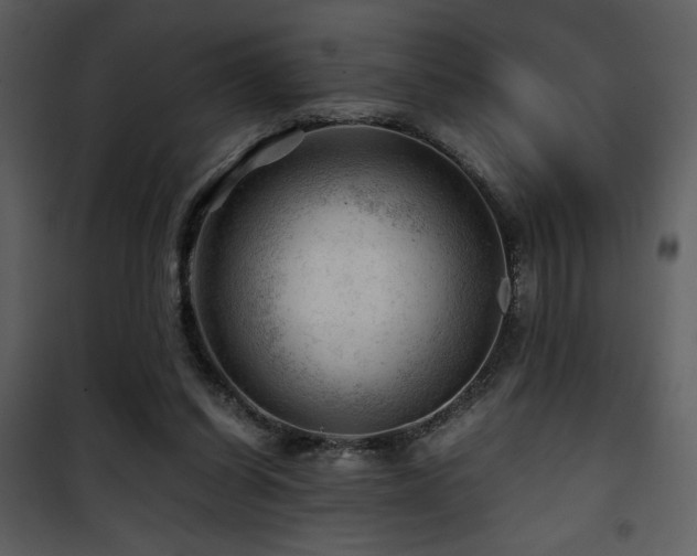 X0000101960254200807181047