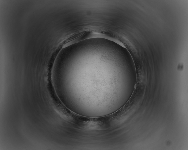 X0000101960255200807181047
