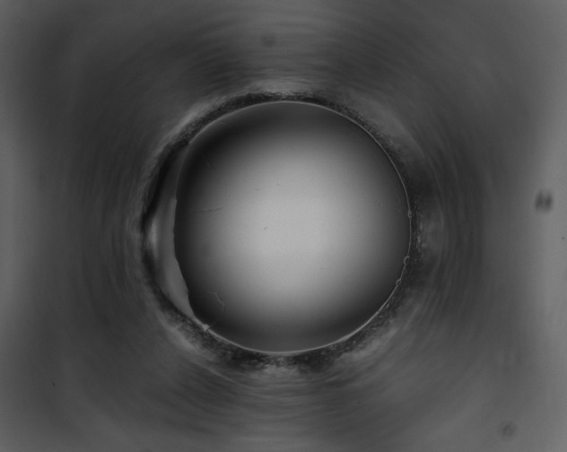 X0000101960256200807181047