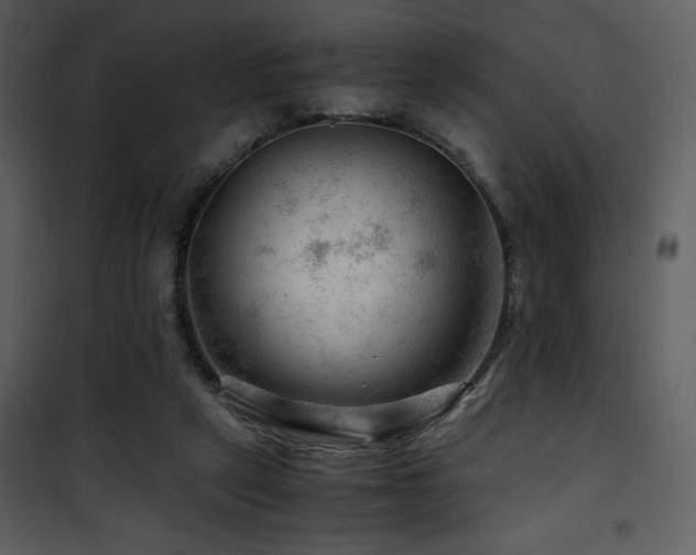 X0000101960257200807181047