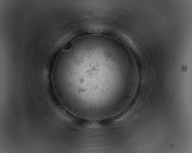 X0000101960258200807181047