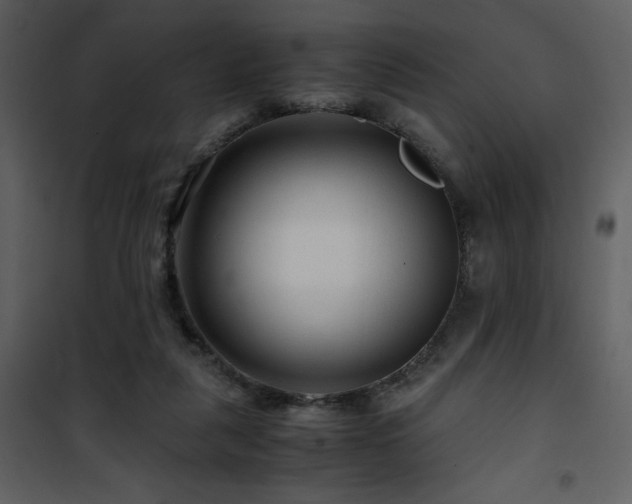 X0000101960259200807181047