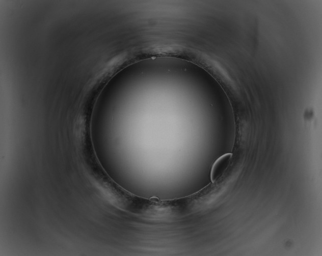 X0000101960260200807181048