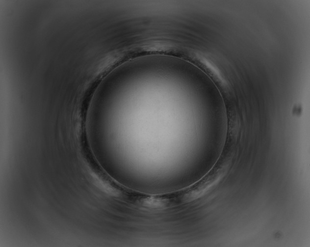 X0000101960261200807181048